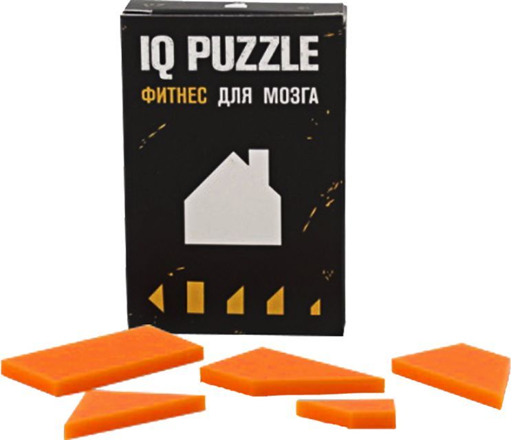 Головоломка IQ Puzzle, домик фото 1 &mdash; MT Group