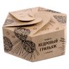 Конфеты «Кедровый грильяж» с клюквой фото 5 &mdash; MT Group